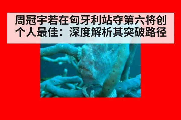 周冠宇若在匈牙利站夺第六将创个人最佳:深度解析其突破路径